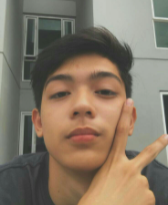 Faceocclusion__9_.png